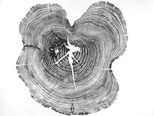 Load image into Gallery viewer, Tree Ring Art, Original Hand Pressed Relief Print, Tree Slice Art, 26x30 Inch Print, Woodcut Art Print, Appalachian Mountain Tree Ring Print
